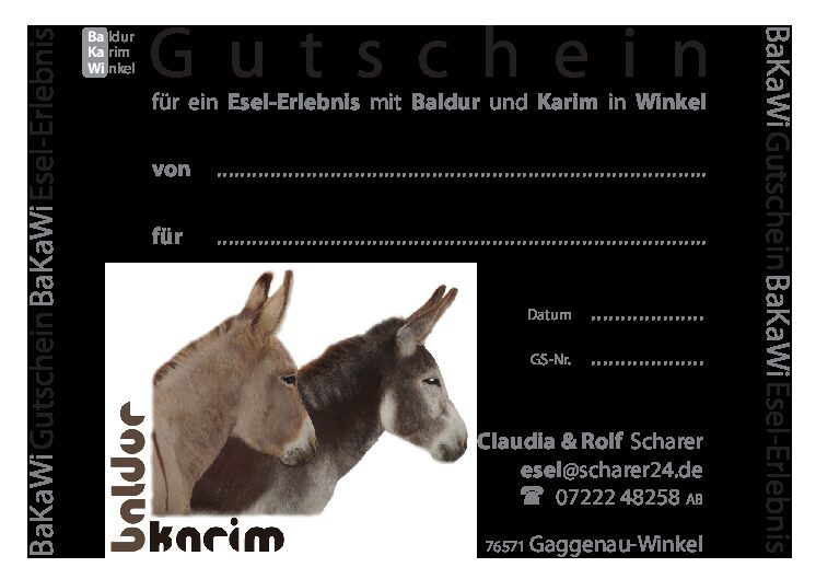 GS-Aufkl-RS-PostKrt_M-pdf GS Aufkl RS PostKrt_M
